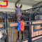 Γαλβανισμένα μέτωπα στάβλων κιβωτίων αλόγων καυτής εμβύθισης 2200mm ύψος με την πόρτα πινάκων